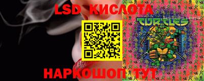 spice Рязань