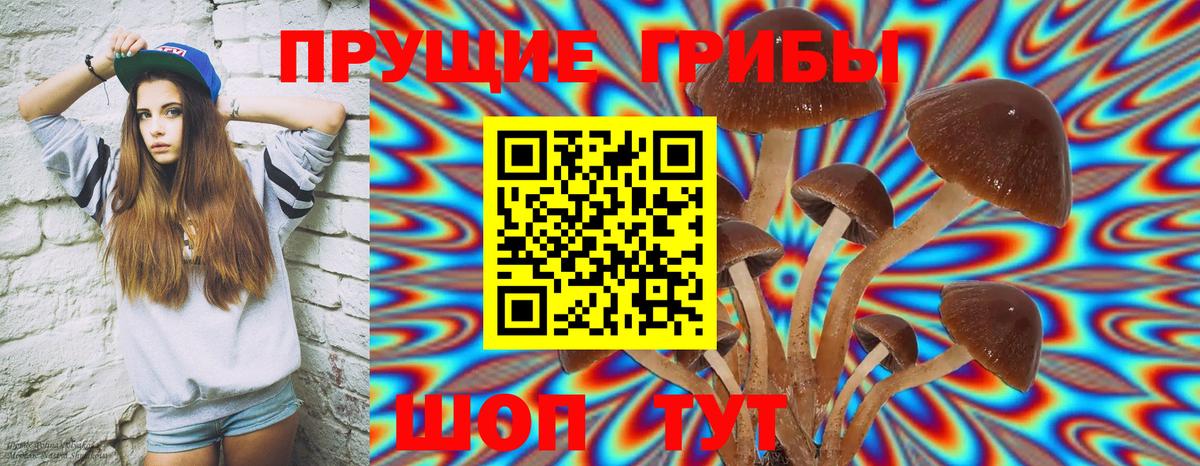 Сибай  Псилоцибиновые грибы Magic Shrooms  Вход с VPN  как найти наркотики  Псилоцибиновые грибы Psilocybine cubensis 